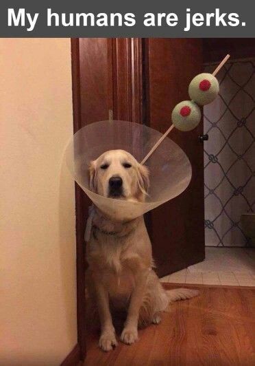 090A72D9-7975-49CA-9470-A00F839146F2