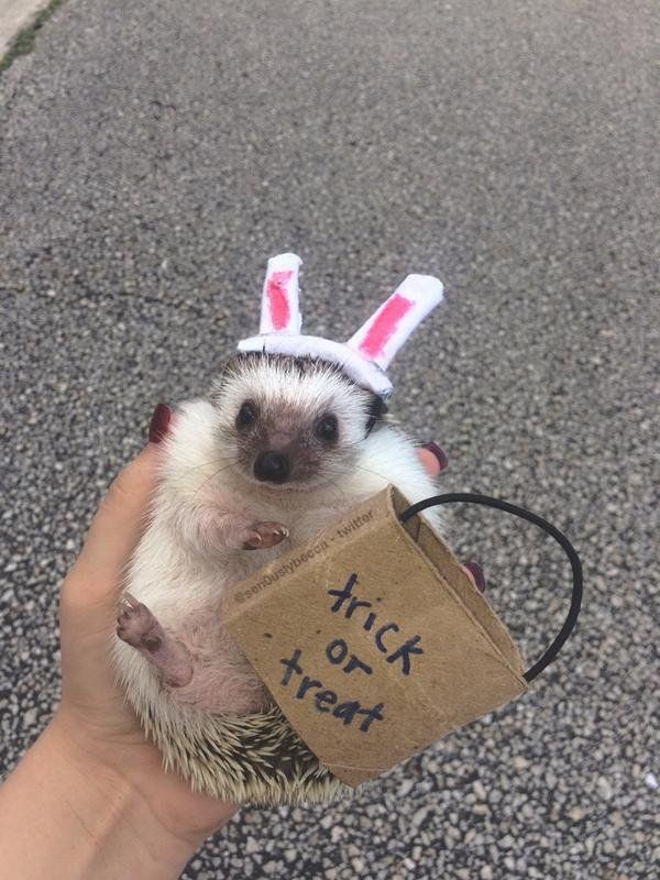 0E104827-7D9E-44AA-9E45-F44D118E8C76