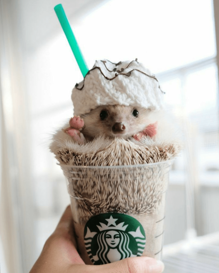 615AAB90-2709-47B3-BBE6-107D75AD0024