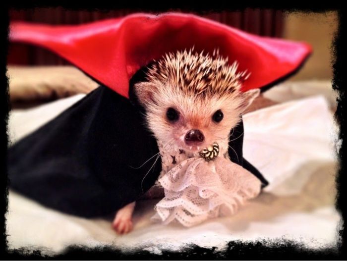 6871E0DF-9B59-48E2-A81A-3A414839596D