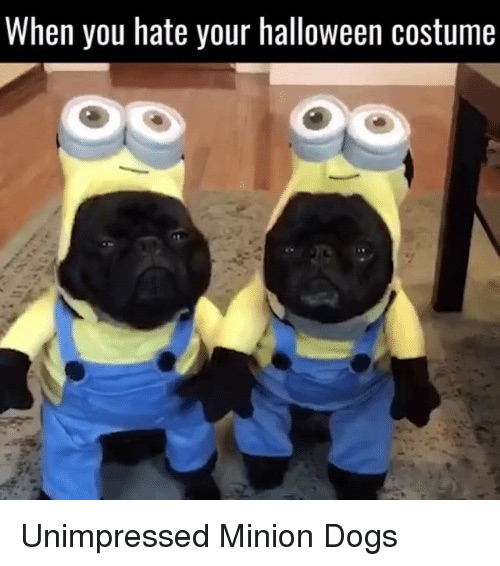 7FD51FD1-2C0B-4B5E-AD0A-8C67657C75E4