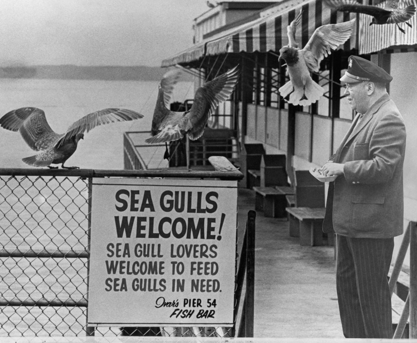 Ivars Adverts The “Clam Nectar Warning” From Ivar’s Acres Of Clams! This Hilarious ...