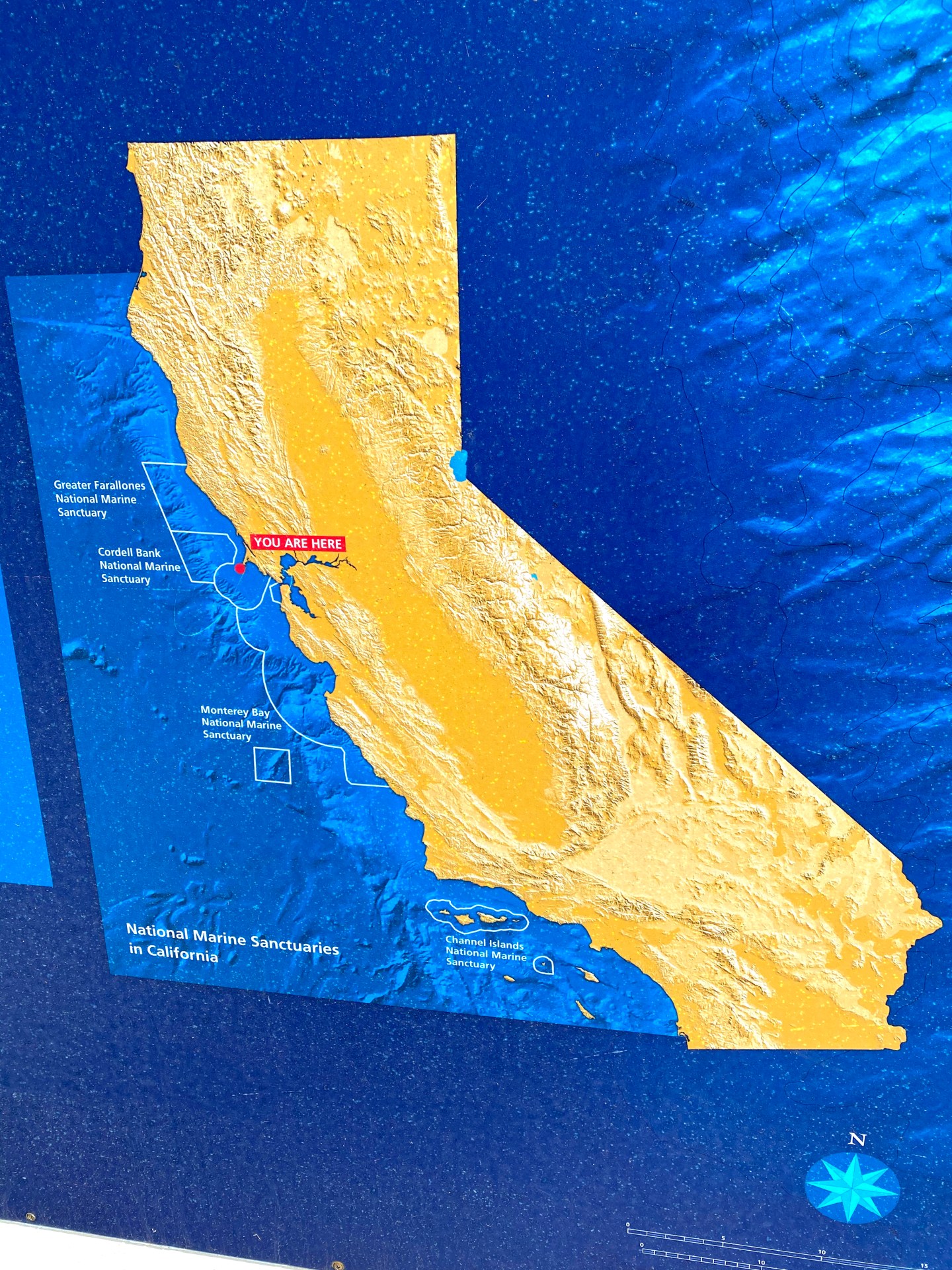 Seeing The Pt. Reyes Lighthouse At The Edge Of The World! California’s ...